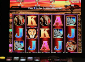 金女王模拟器(无限金币)客户端